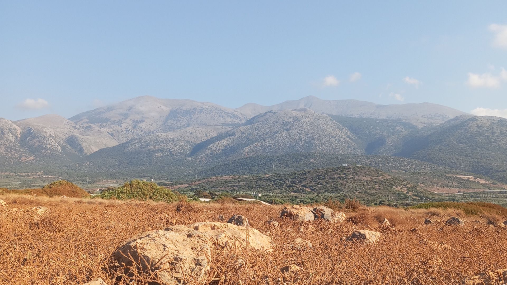 Καρύδια με μέλι